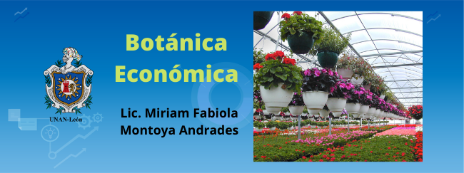 Botánica Económica. 2021.