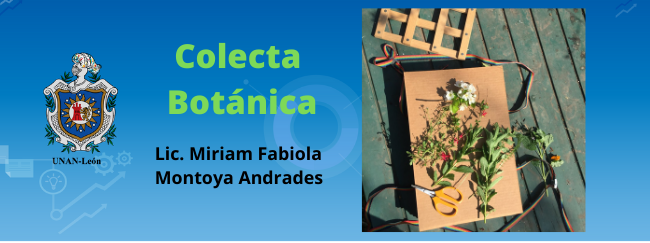 Técnica Colecta y Preservación Botánica. 2021. Grupo B