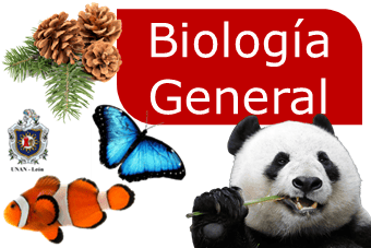 Biologia General G34