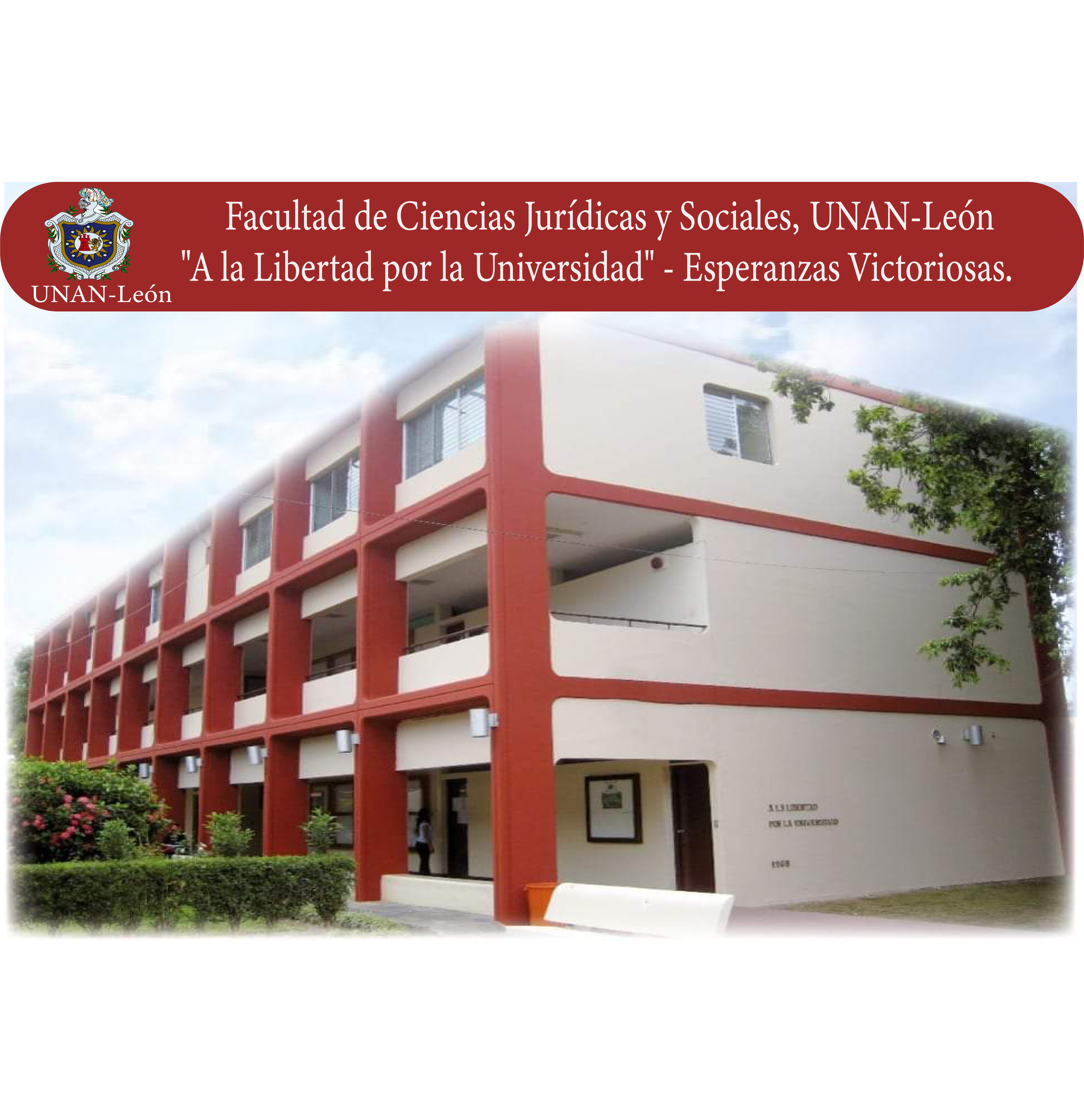 FILOSOFÍA G37