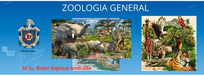 Zoologia General